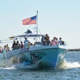 Destin dolphin cruise