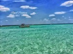 destin boat rentals