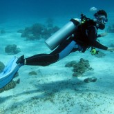 Emerald Coast Scuba