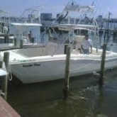 destin florida fishing charters