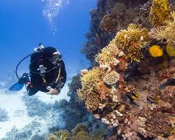 Scuba Diving in Destin Florida